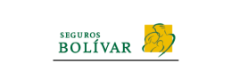 bolivar-web-global